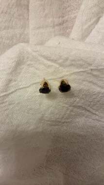 Vintage 14K Yellow Gold Gourd Vessel Black Onyx Pendant Calabash Drinking Bottle